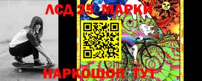 винт Кимры