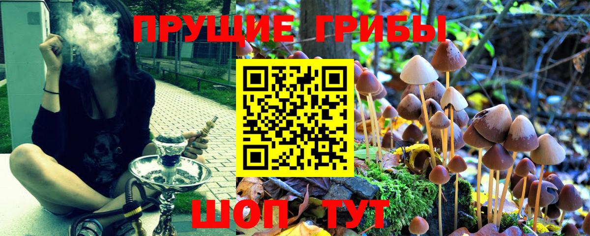 Псилоцибиновые грибы Cubensis Якутск